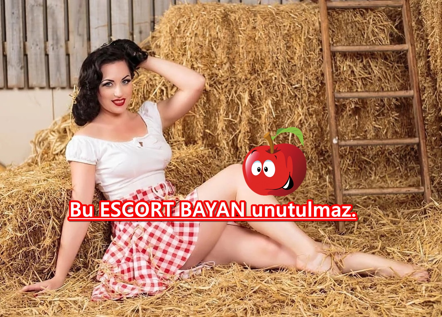 Samanlığı Seyran Eden Bayanlar | Gaziantep Escort Bayan Samanlığı Seyran Eden Bayanlar